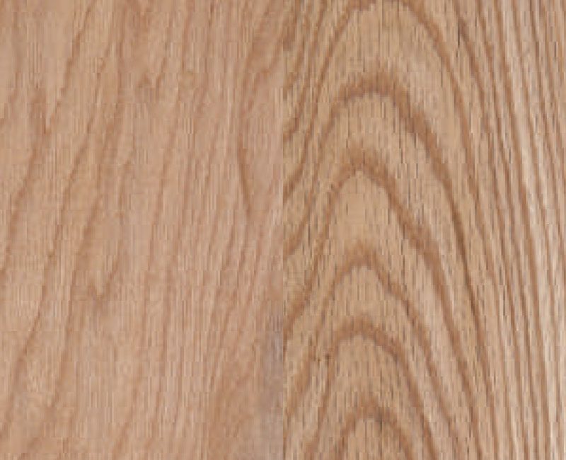 1.2.6.Roble-Rojo-Americano